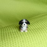 バーニーズ パピー 羊毛フェルト