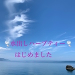 フル－ツフレーバーの水出し湘南ブレンド
