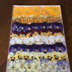 200円のお値引き‼️お花屋さんが作ったビオラのドライフラワー