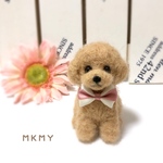 プードル 羊毛フェルト アプリコット色☆