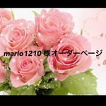 mario1210様オーダーページ