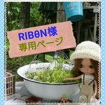RIBθN様専用ページ  