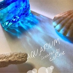 再販×42＊切り取った海 ”AQUARIUM アクアリウム” 珊瑚の見える海 オブジェ