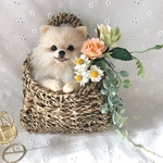 羊毛フェルト オーダーフラワーバスケット