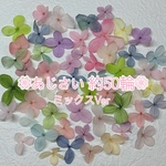 あじさいのお花 カラフルに約50輪 少しずつ数欲しい方に！