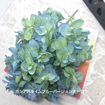 カシアバライムブルーバージョンオーロラ❣️アジサイ小分け❣️ハーバリウム花材プリザーブドフラワー