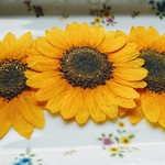🌻再販🌻押し花素材。ひまわり