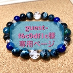 ＊＊ guest-f6c0df1c様専用ページ＊＊