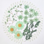 押し花＜グリーン系セット＞