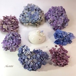 期間限定梅雨の紫陽花祭り 増量中 No1131