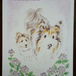 【kiririn様オーダー品】愛犬イラスト