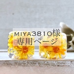 miya3810様 専用ページ
