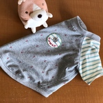 コーギー用Ｔシャツ**イカリ&ボーダー 赤