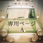 専用ページA