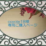 coyote18様専用ご購入ページ