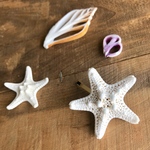 𓇼 starfish hair accessory 𓇼