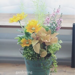 元気colorの寄せ植え