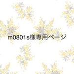 m0801s様専用ページです