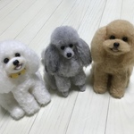 羊毛フェルト  トイプードル【ホワイト、シルバー、アプリコット】
