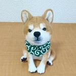 おちゃめ座りの柴犬さん
