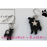  ＜わんにゃんシリーズ＞犬とピアス  〜シュナウザー〜