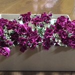 お花屋さんが作ったミニバラのドライフラワーお買い得 Box
