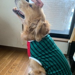 はなちゃん専用