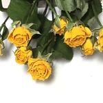5輪束 スプレー薔薇＊イエロー＊h