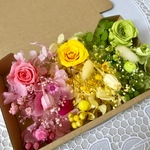 キレイ色ローズ3輪＊ハーバリウム 花材ドライフラワー  花材セット