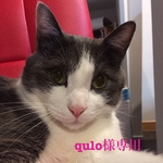 qulo様専用