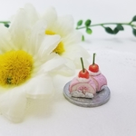 【お試し2カットセット】ミニチュアフード♡カラフルさくらんぼロールケーキ