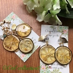 ジューシースライス すだちピアス✨