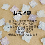 お急ぎ便