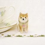 赤柴ココちゃん(ちいさい柴犬）