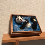 アイスパンダ☆