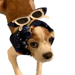 ギャラクシーコスモ／ギラギラのサングラス★犬スヌードネイビー 