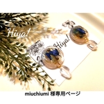 miuchiumi 様専用ページ