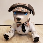 aibo アイボ  アイボのアクセサリー ERS-1000