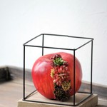 タニクアップル！？ 赤いリンゴと多肉植物　