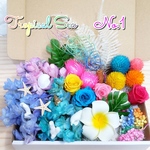 ハーバリウム花材 tropical ses 花材セット