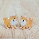 No.64　柴犬のピアス☆