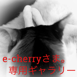 e-cherryさま。専用ギャラリー
