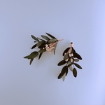 ドライフラワー🌼ブーケピアスイヤリング🌼ユーカリ