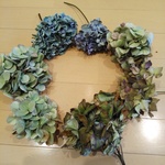 あじさいドライフラワー　2