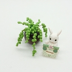 多肉植物💚グリーンネックレス