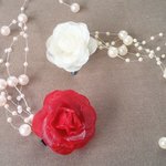 薔薇に零れる真珠