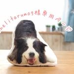 anelitarumog様専用ページ