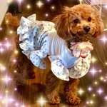 蝶々の袖フリルワンピース