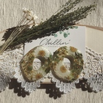 超大ぶりドーナツ型リング×natural  ピアス/イヤリング