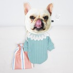 犬服★ハイネックミントのニット